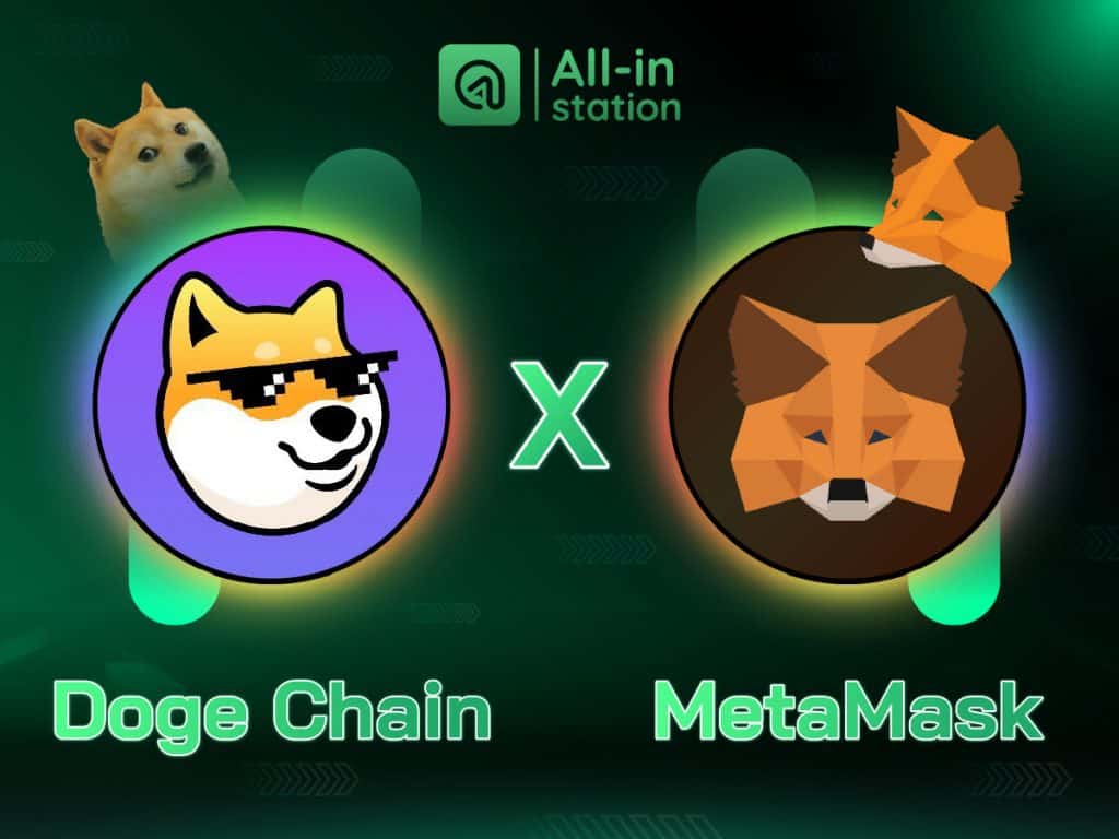 Doge Chain va MetaMask