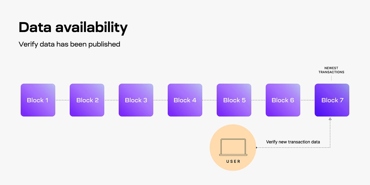 Data Availability Là Gì? 1 "Narrative" đang được Nhen Nhóm Trong Tương Lai