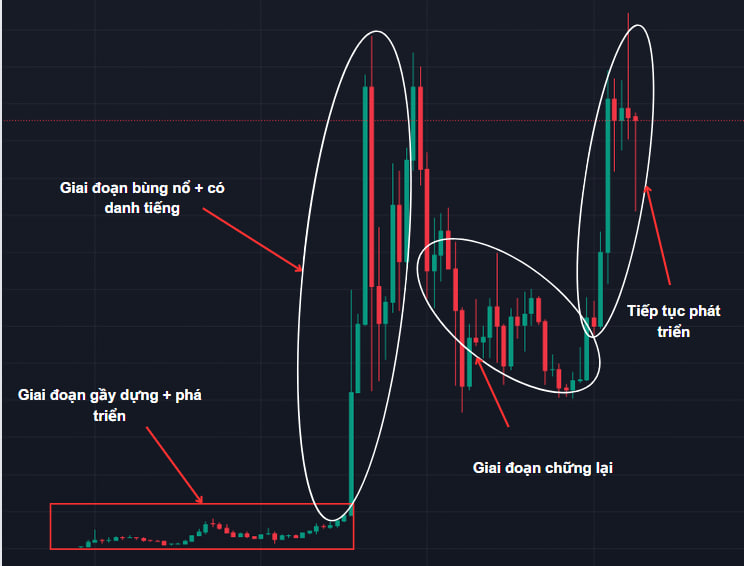 Vòng đời dự án crypto non-zero-sum