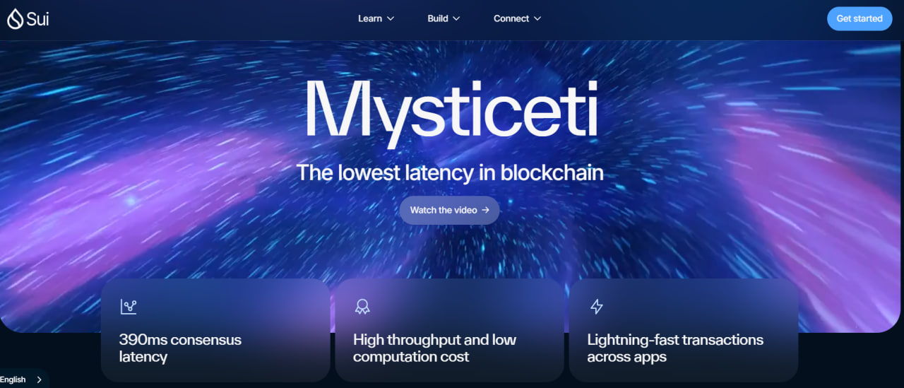 Hệ Sui trước cơ hội phát triển lớn 20 mysticeti